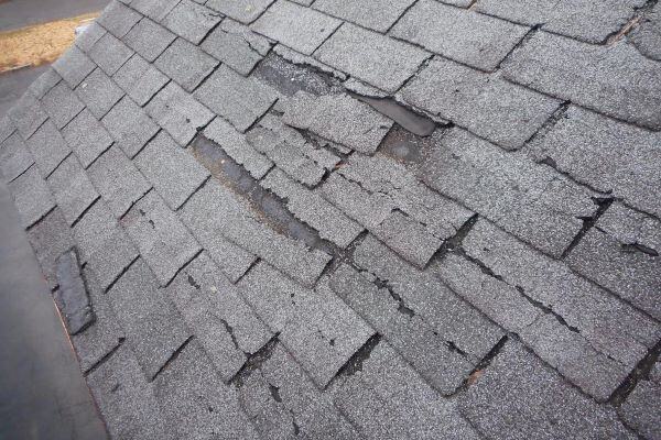 Damaged_shingles roof replacement 600x400