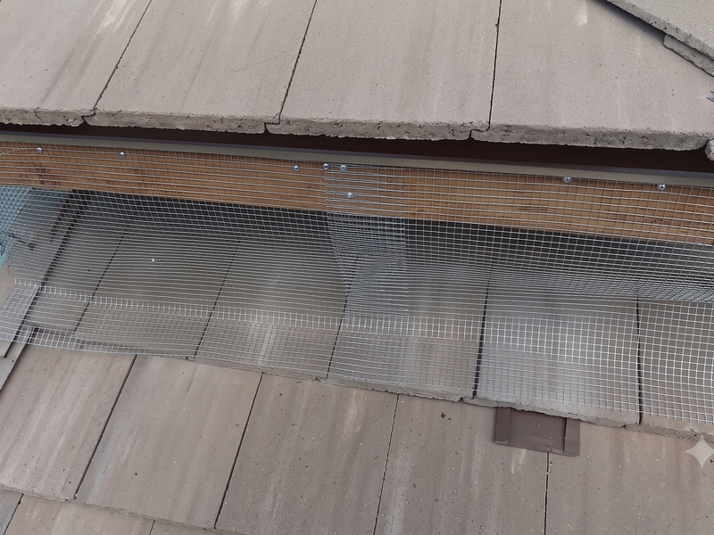 bird proofing azul v12-800