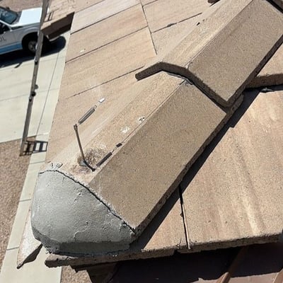 bird proofing v2