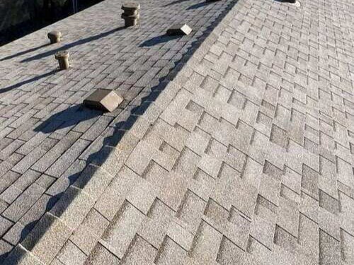 Eco-Friendly Shingles: 5 Reasons Malarkey's Shingle is a Game Changer