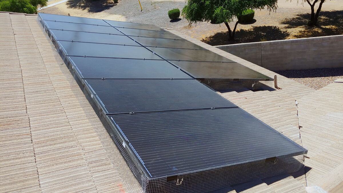 Bird Proofing Done Right: Why Every Home Needs a Custom Solution