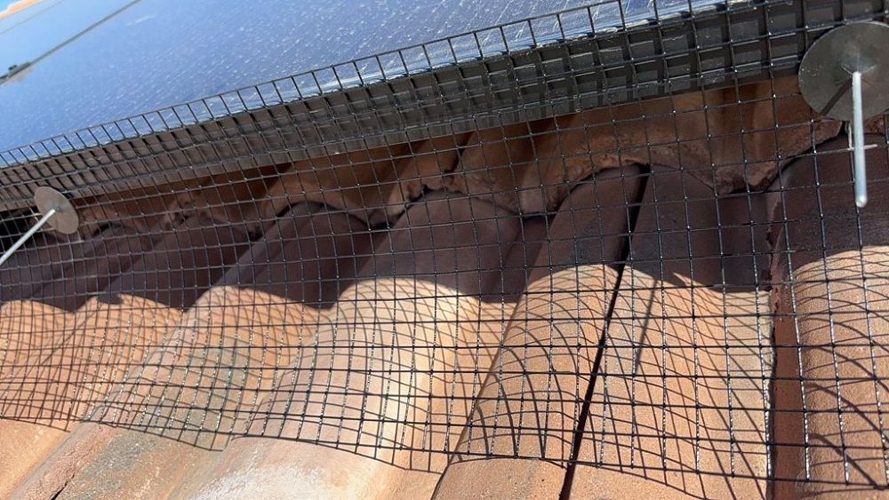 bird proofing feature v1