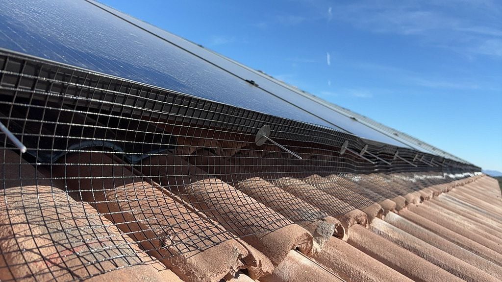 Bird Proofing Done Right: Why Every Home Needs a Custom Solution